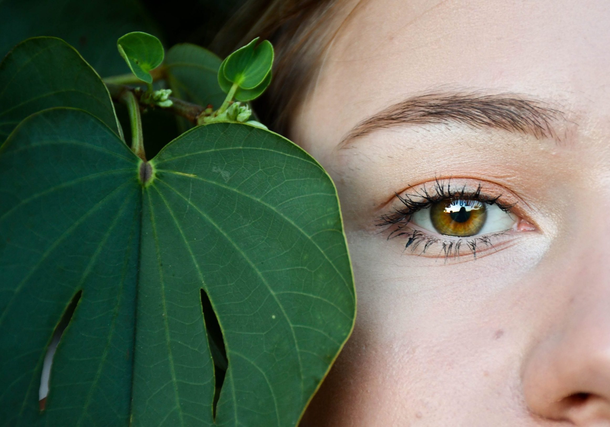 womans eye with green leaves